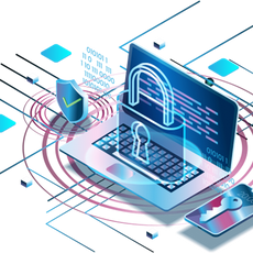 Manage critical data risks and regulatory requirements