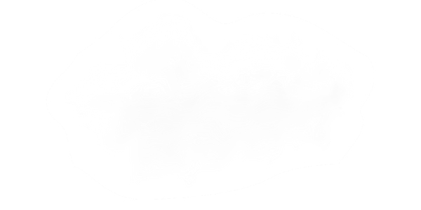Catering Grad Parties (3).png