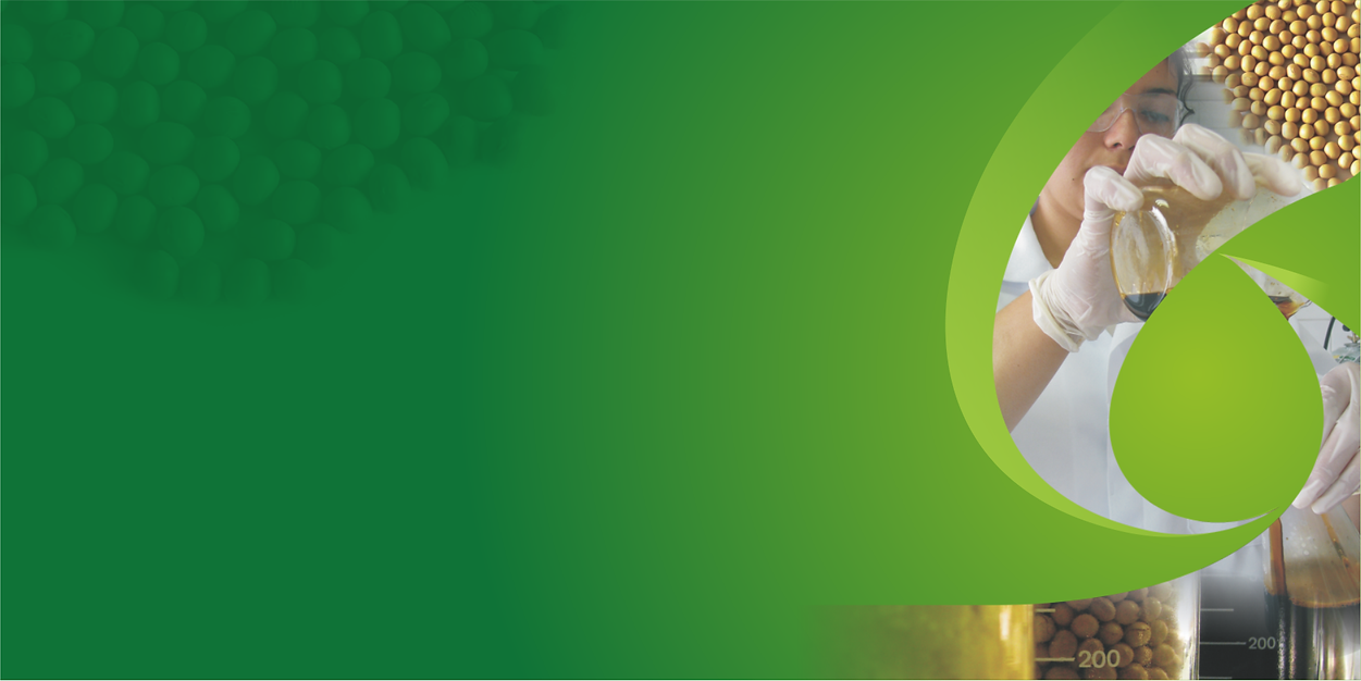banner principal 3.png