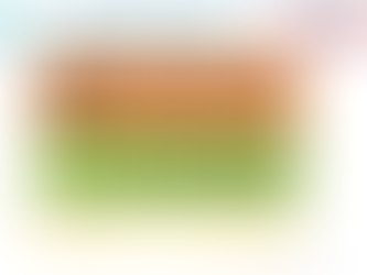 1 Day 1 Term | Day 27 | Morning / Evening