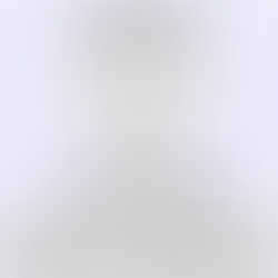 সামাজিক উপন্যাস