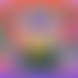 Why are people not following the Vedic culture even though most of them realize it's worth it?