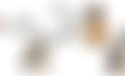 আজানের সময় কুকুর ডাকে কেন?