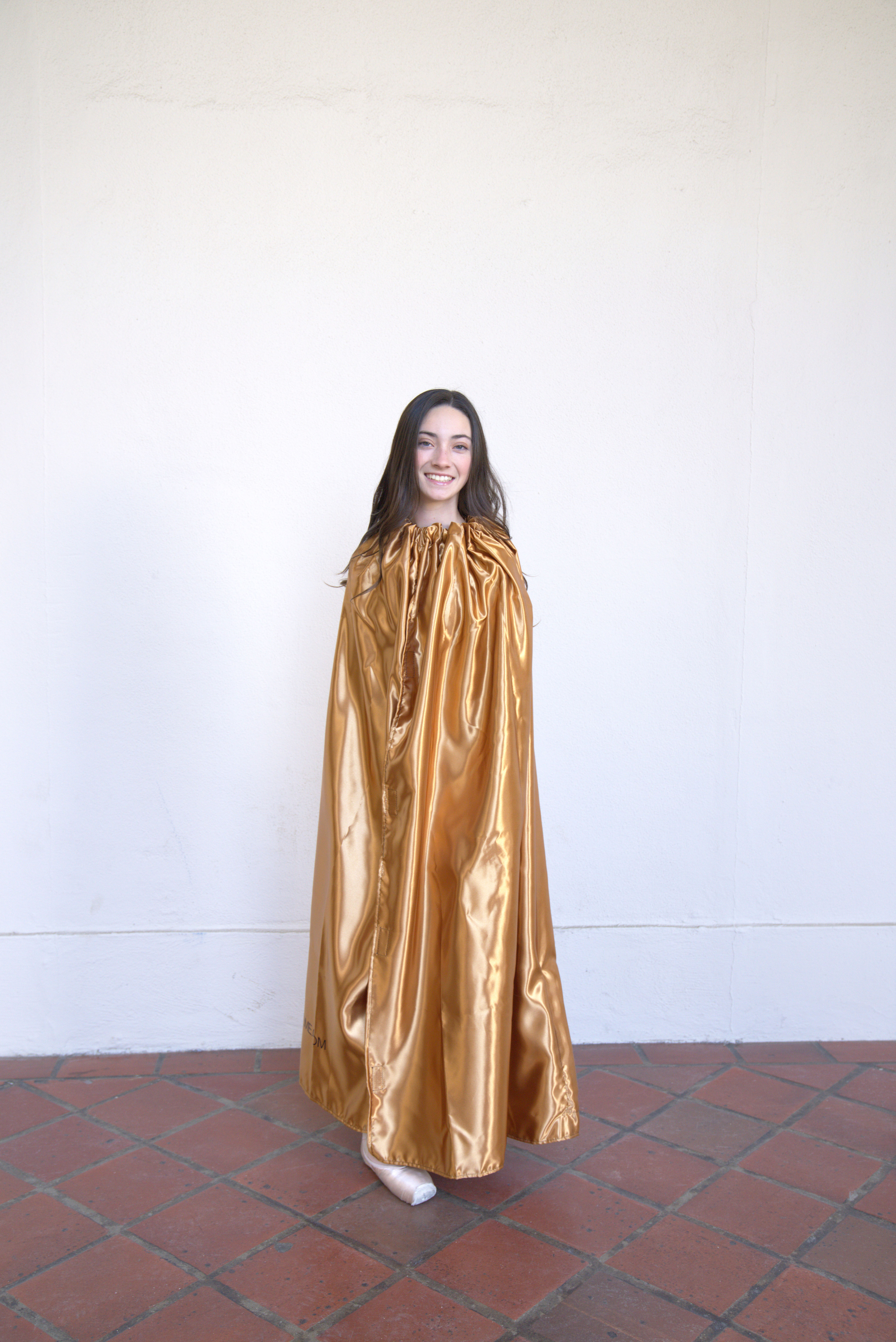 Gold Foldable Dressing Room