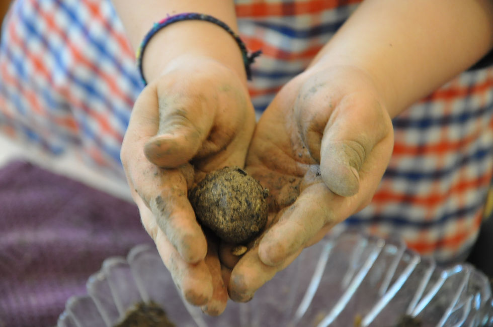 Seedbombs Kinderhaus Langenzersdorf