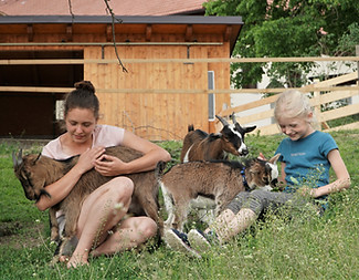 ziegen bauernhof