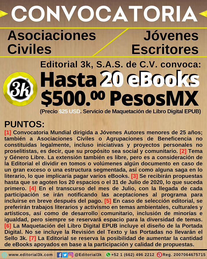 PÃ³ster_eBooks_con_Causa_-_Julio_2020.pn