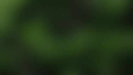 Midnight Conversations