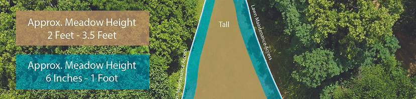 AMV SITE ONE WHITE LINE.jpg