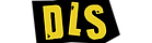 Logo DLS 2024