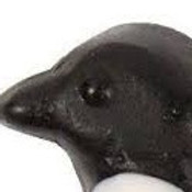 355514892_6211358388945360_876131978054207393_n.jpg