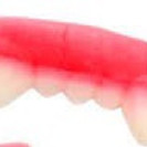 353507843_131306283312564_3407986711359197344_n.jpg