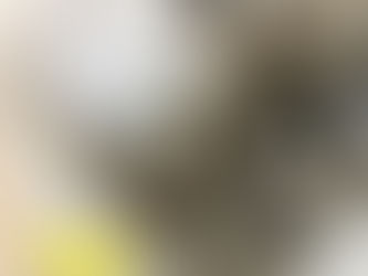 2023.05.21【ネジレスQ】　キャブレーター