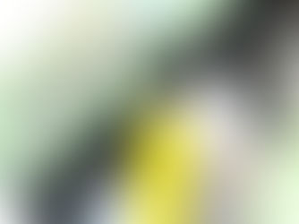 2023.05.28【ネジレスQ】　バイク