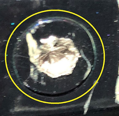 2023.06.16 [Screw Rescue Report] Stripped screws on HILUX the tailgate 1