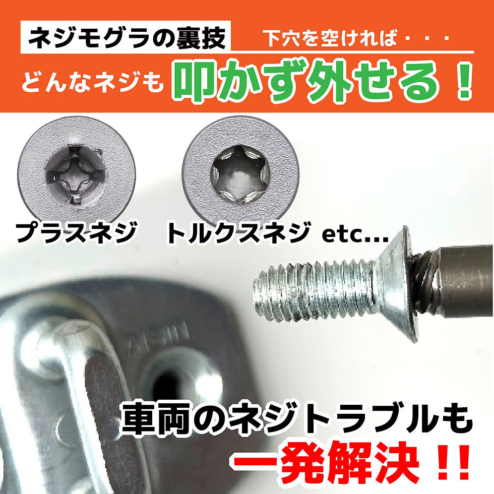 サムネイル： DWZ-410 ネジモグラ ソケット