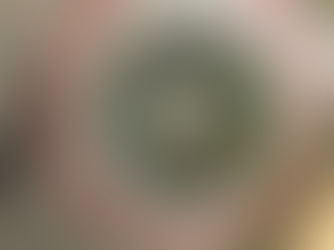 2022.05.18【ネジレスQ】　ハンターカブ