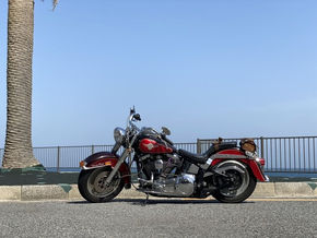 2022.05.22【ネジレスQ】　ハーレー