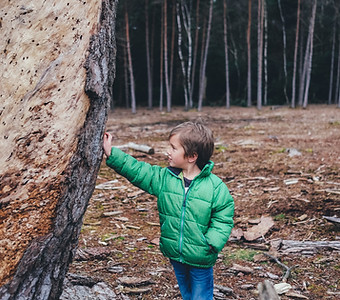 Junge gegen einen Baum gelehnt