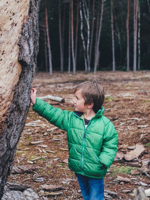 Nature as Our Free Therapist