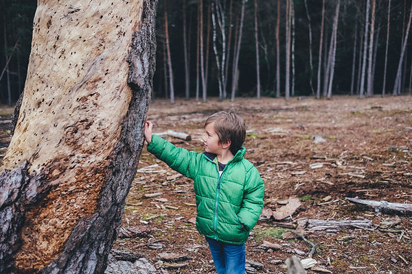 Photo of a child exploring nature in the forest.