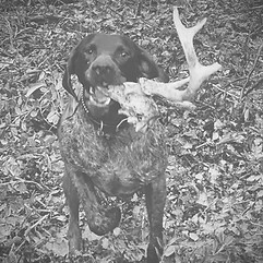 rykerdeadhead_edited_edited_edited_edite