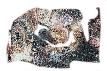 3 pièeces pied sur cadre B_28_edited.png