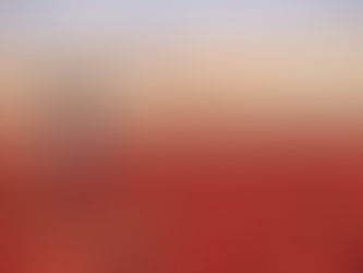 A Look into China's Motives for Xinjiang's Control and Uyghur Prosecution