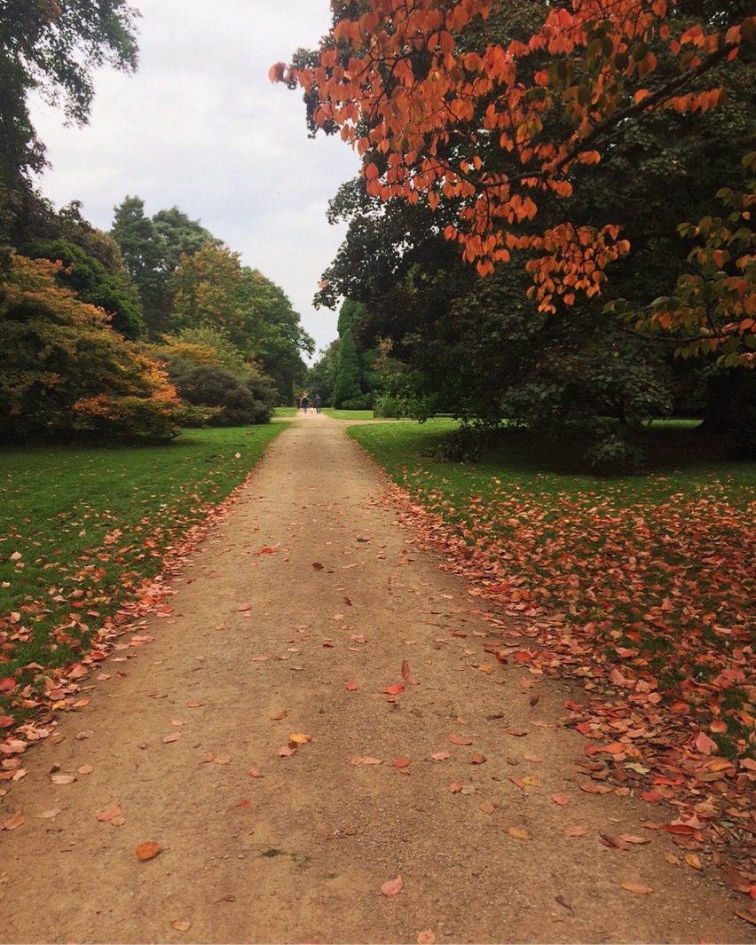 Westonbirt Arboretum