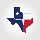 texas-map-logo-with-longhorn-skull-design-vector.jpg