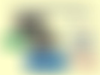 מינוף-יתר של בעל השליטה והשלכותיו הכלכליות על החברה הציבורית שרכש