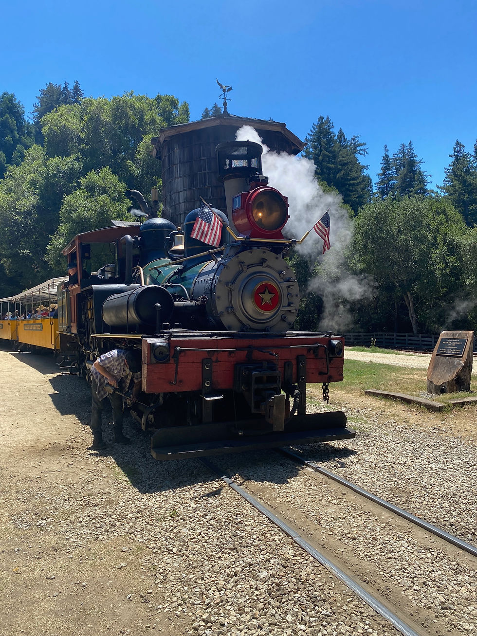 roaring camp steam train in Felton