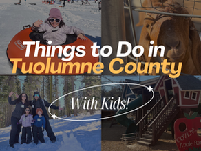 Things to Do with Kids in Tuolumne County: A Guide to Your Next Family Getaway