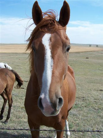 Ranch early fall 2007 185.jpg