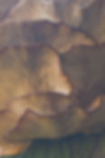 damir-omerovic-UMaGtammiSI-unsplash_edited.jpg