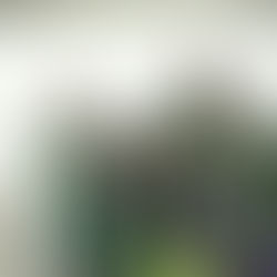 Celebrating World Disability Day: Empowering Visually Challenged Students on December 3rd