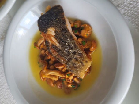 Gebratene Seeforelle mit Pfifferlingen und Kartoffelfond