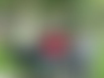 In eigener Sache - eine Danksagung