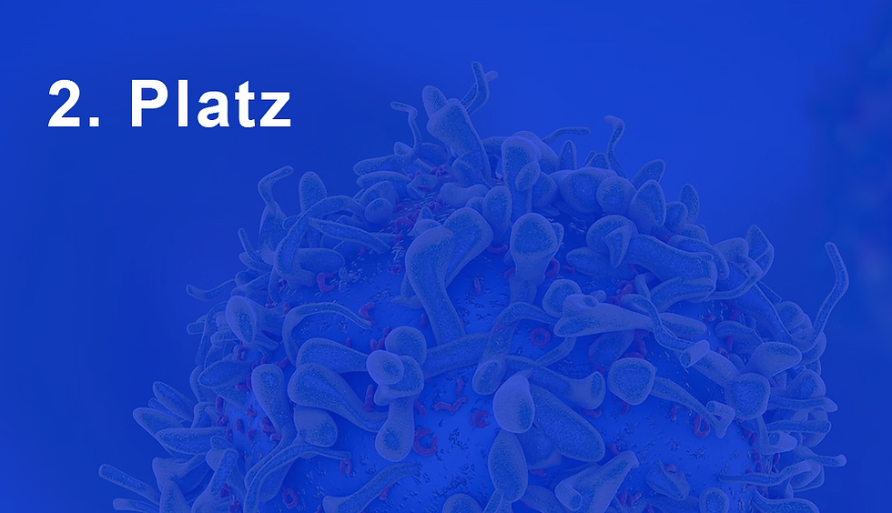 Martin Thelen (Zentrum für Molekulare Medizin Köln)