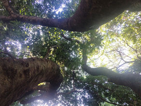 13/05/2024 ✧ Convite pra Hoje ♡ Andreia Peixoto