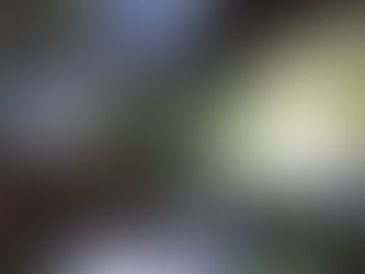 13/05/2024 ✧ Convite pra Hoje ♡ Andreia Peixoto