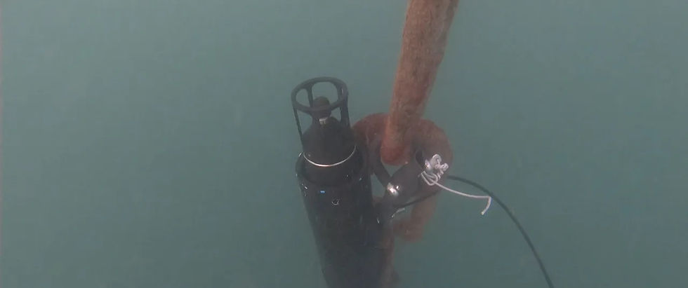 New Hydrophones Installed in Tagus Estuary - CoastNet