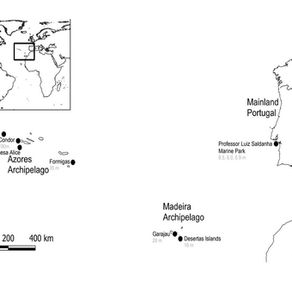 Cross-referencing unidentified fish sound data sets to unravel sound sources