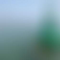 Using passive acoustic monitoring to assess scianids spawning aggregations.