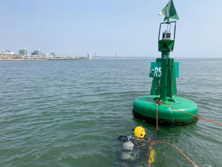 Using passive acoustic monitoring to assess scianids spawning aggregations.