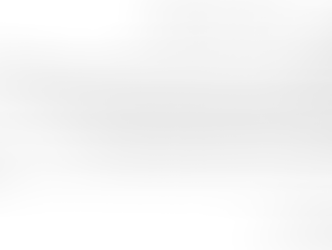 יניב - יום השנה 2010