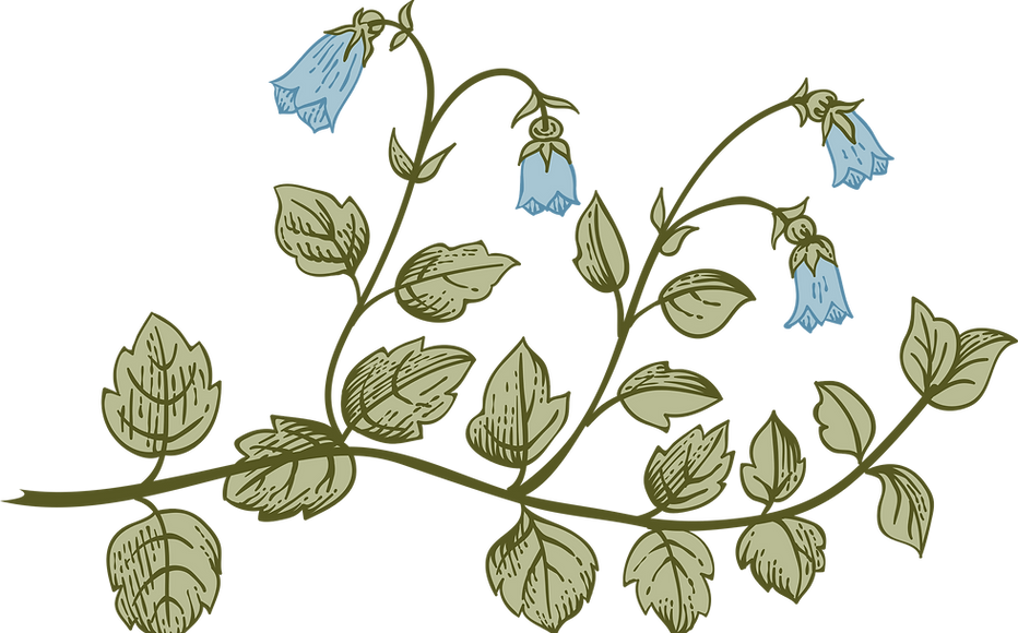 Botany