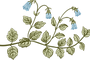 植物学                                     