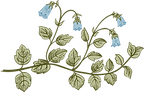 A decorative flower to enhance the web page.