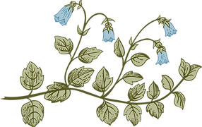 Botany